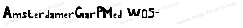 AmsterdamerGarPMed W05字体转换